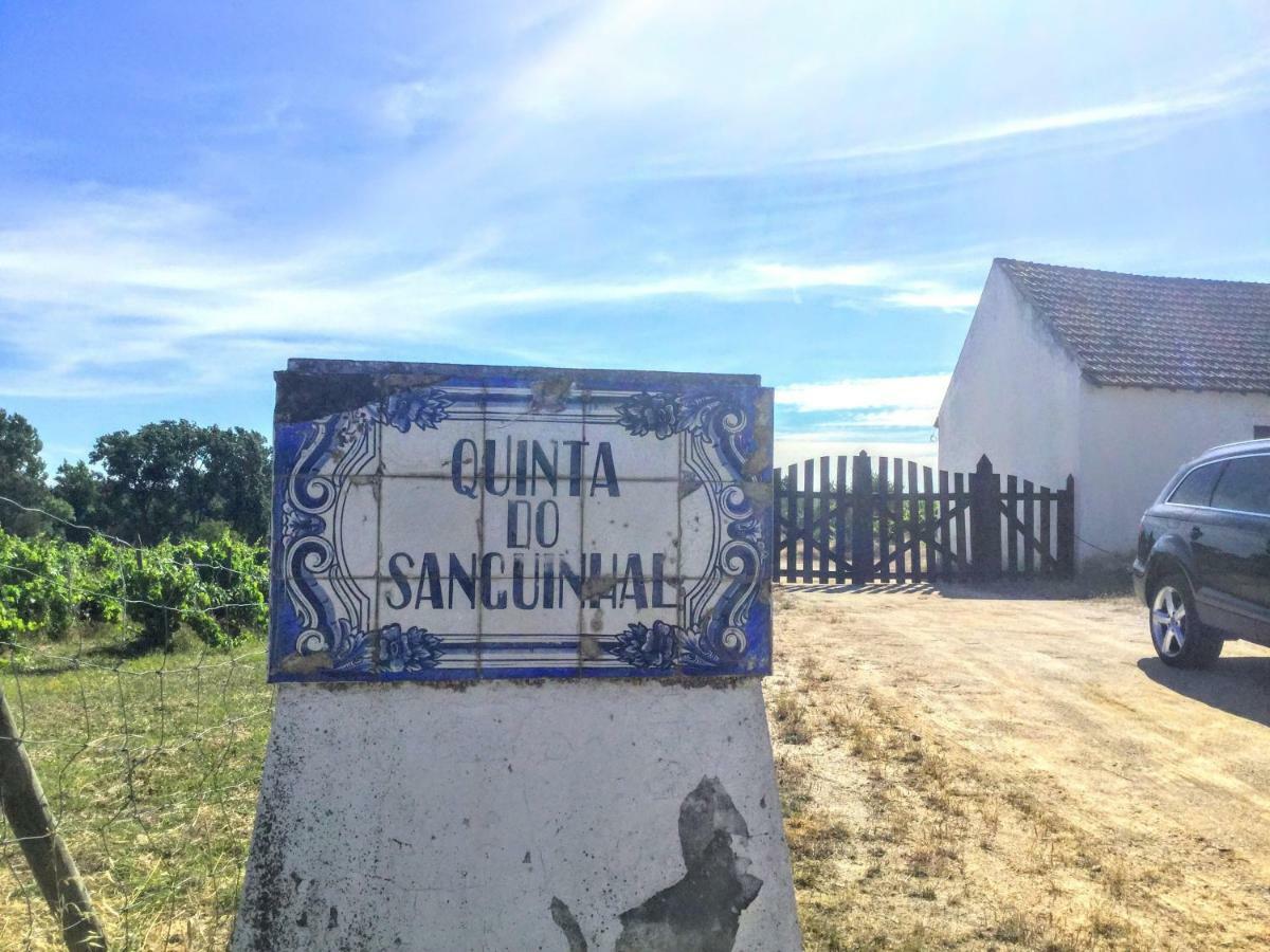 Quinta Do Sanguinhal Villa Rio Maior Luaran gambar